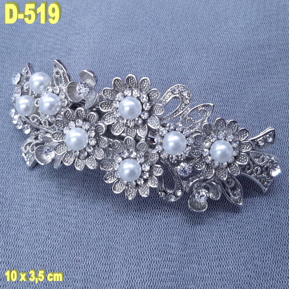 D-519